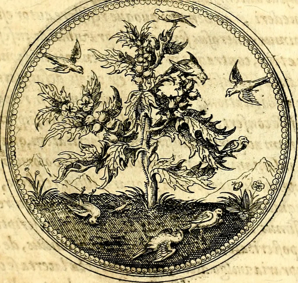 An illustration from Symbolorum et emblematum ... centuria una [-quatuor], 1654, leaf 178