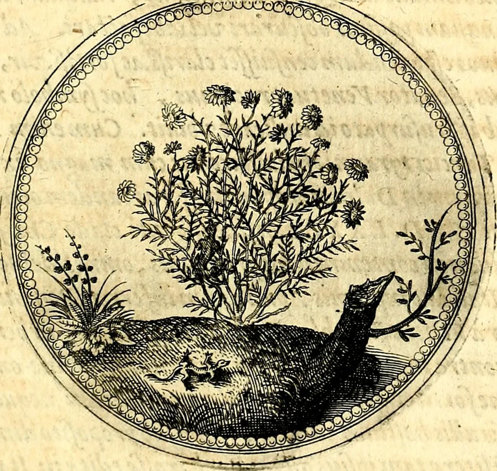 An illustration from Symbolorum et emblematum ... centuria una [-quatuor], 1654, leaf 180
