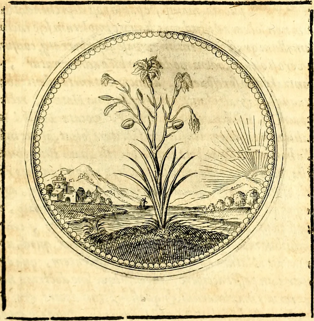 An illustration from Symbolorum et emblematum ... centuria una [-quatuor], 1654, leaf 200