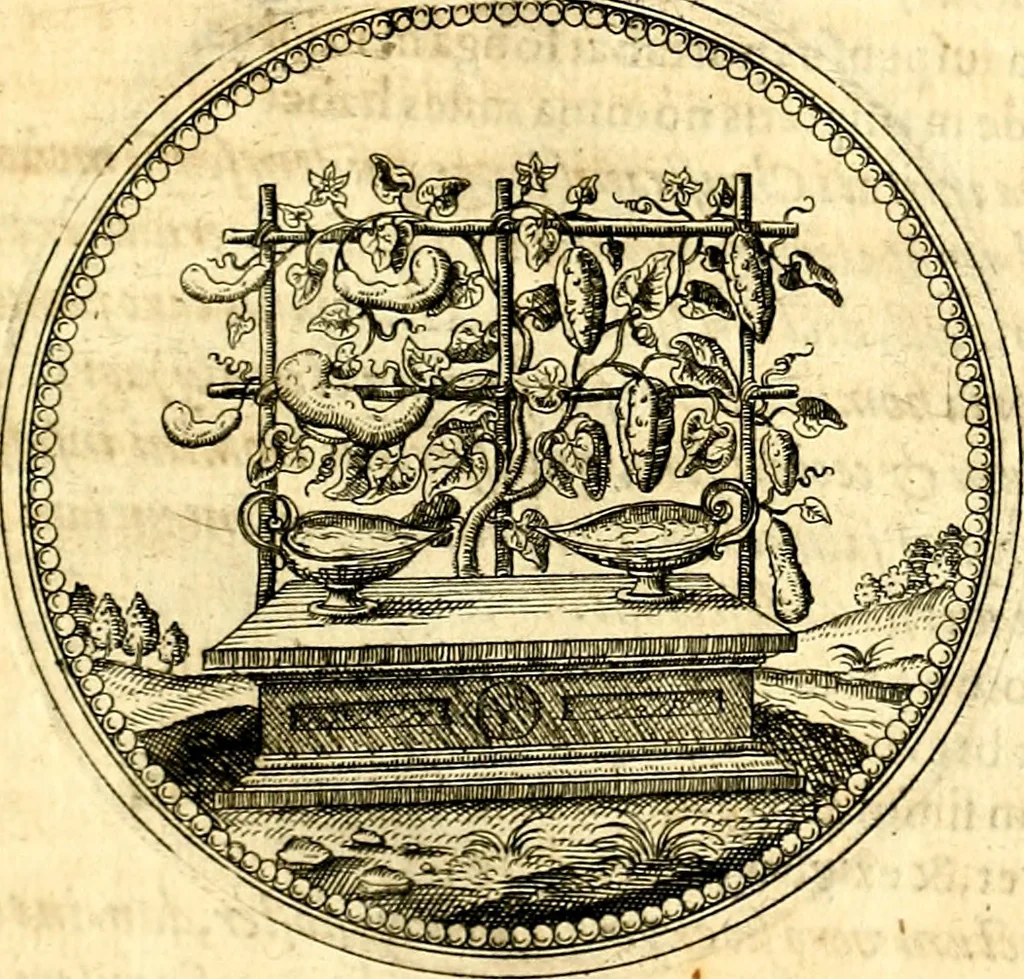 An illustration from Symbolorum et emblematum ... centuria una [-quatuor], 1654, leaf 202