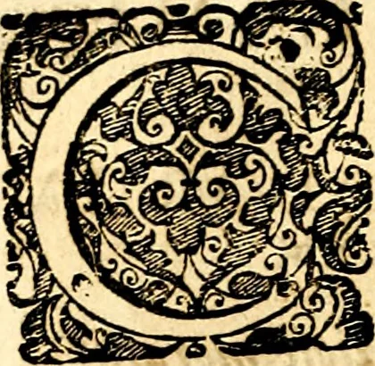 An illustration from Symbolorum et emblematum ... centuria una [-quatuor], 1654, leaf 213