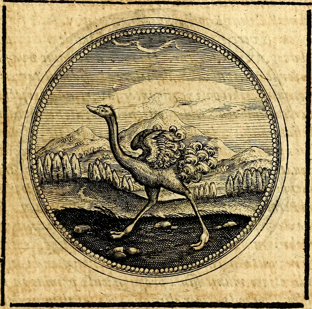 An illustration from Symbolorum et emblematum ... centuria una [-quatuor], 1654, leaf 246