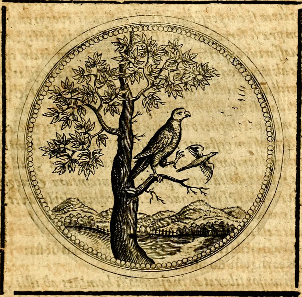 An illustration from Symbolorum et emblematum ... centuria una [-quatuor], 1654, leaf 272