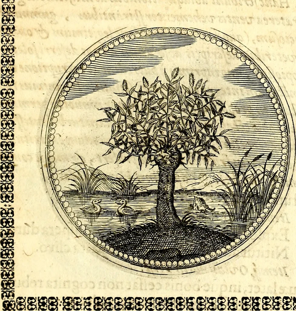 An illustration from Symbolorum et emblematum ... centuria una [-quatuor], 1654, leaf 28