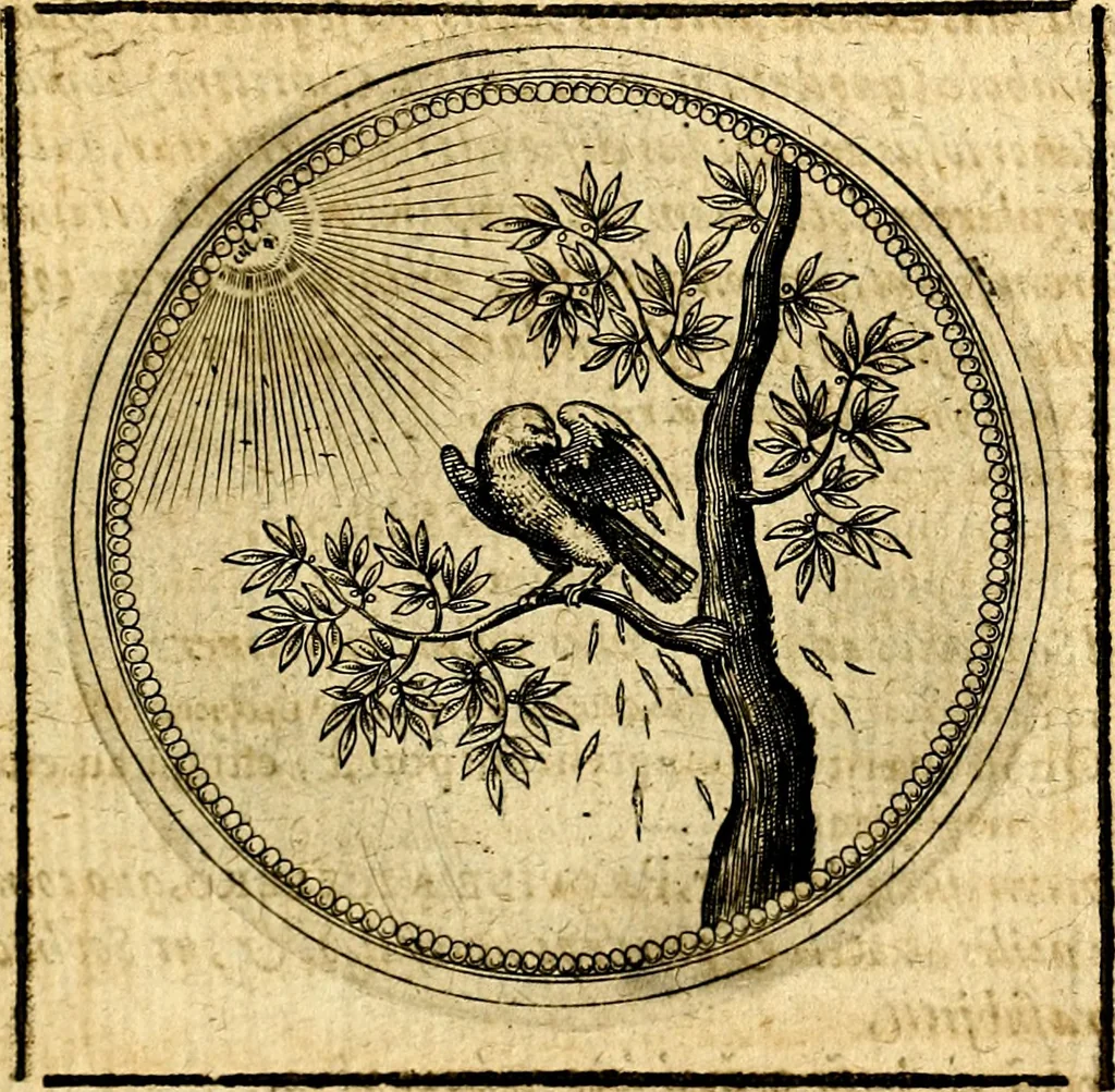 An illustration from Symbolorum et emblematum ... centuria una [-quatuor], 1654, leaf 280