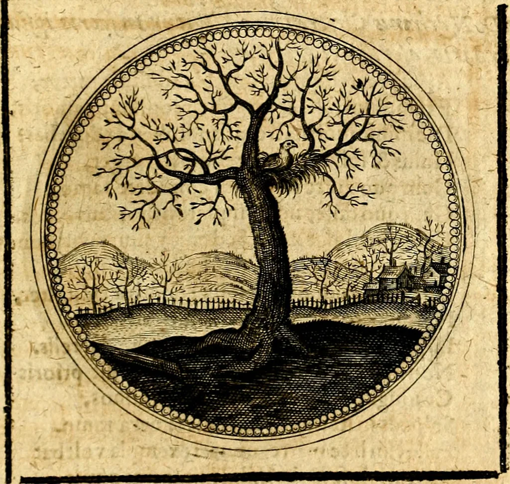 An illustration from Symbolorum et emblematum ... centuria una [-quatuor], 1654, leaf 334