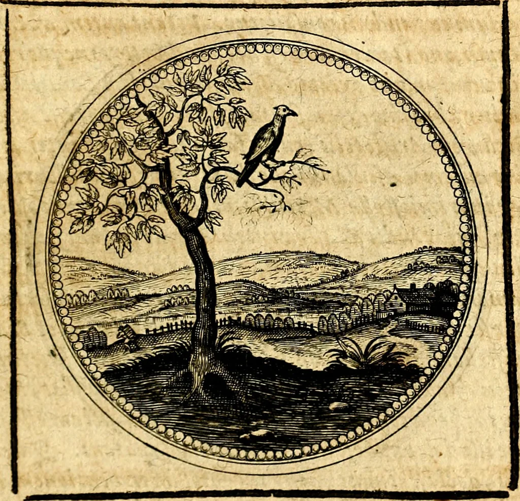An illustration from Symbolorum et emblematum ... centuria una [-quatuor], 1654, leaf 338