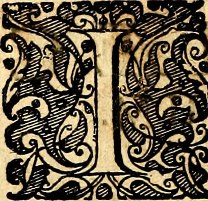 An illustration from Symbolorum et emblematum ... centuria una [-quatuor], 1654, leaf 345