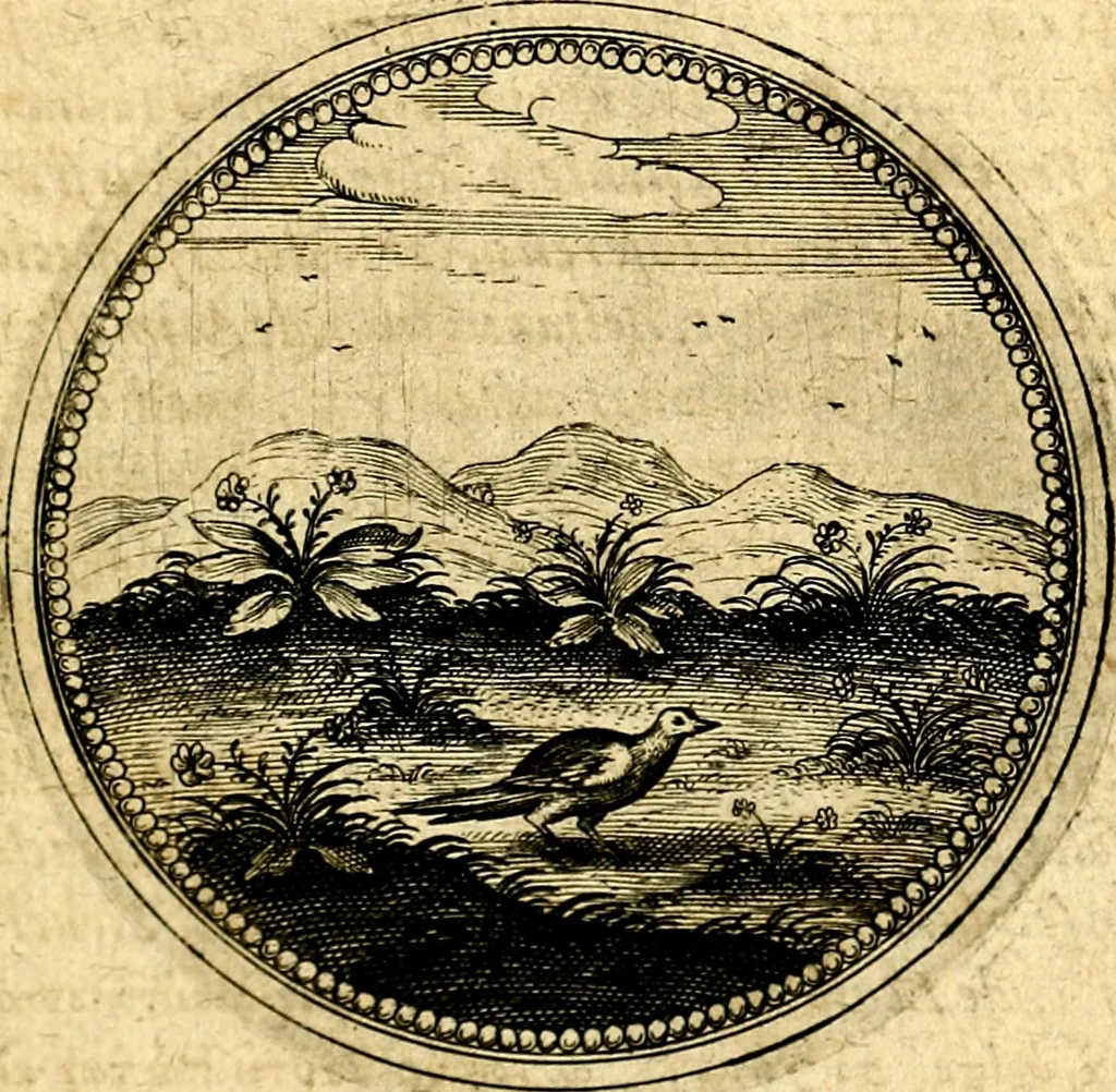 An illustration from Symbolorum et emblematum ... centuria una [-quatuor], 1654, leaf 352