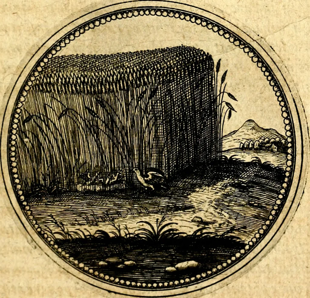 An illustration from Symbolorum et emblematum ... centuria una [-quatuor], 1654, leaf 356