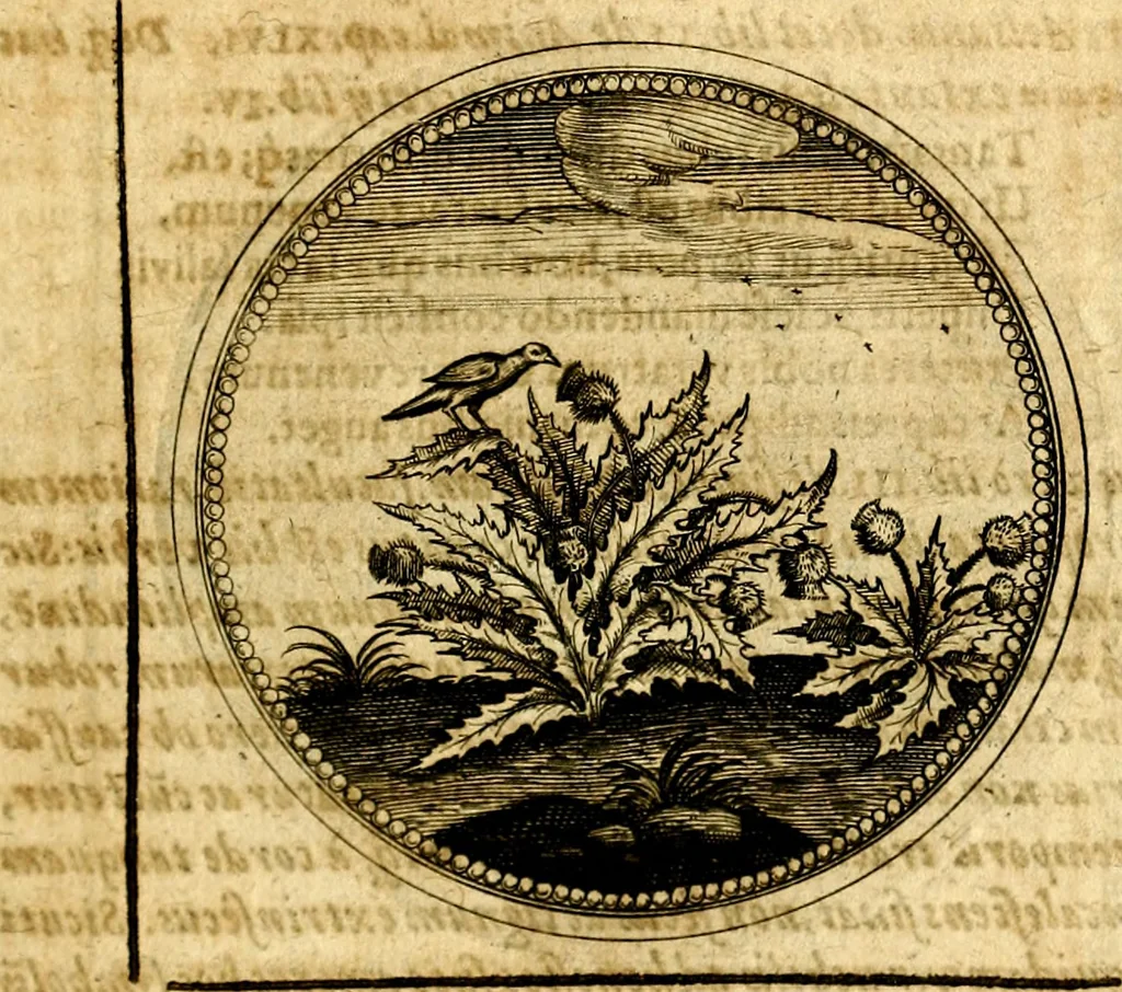 An illustration from Symbolorum et emblematum ... centuria una [-quatuor], 1654, leaf 360