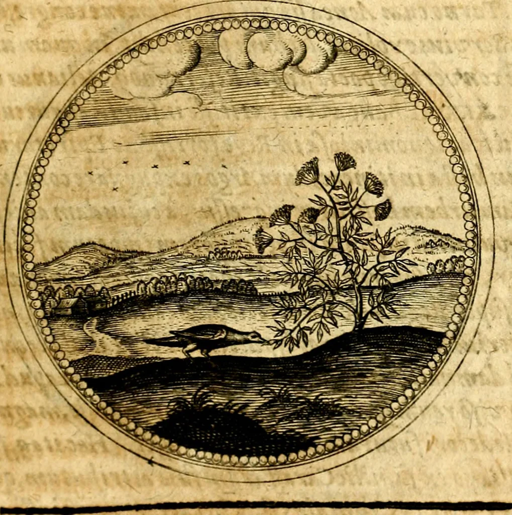An illustration from Symbolorum et emblematum ... centuria una [-quatuor], 1654, leaf 362