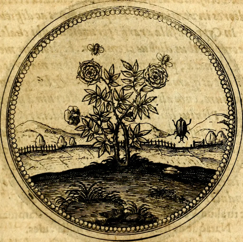 An illustration from Symbolorum et emblematum ... centuria una [-quatuor], 1654, leaf 394