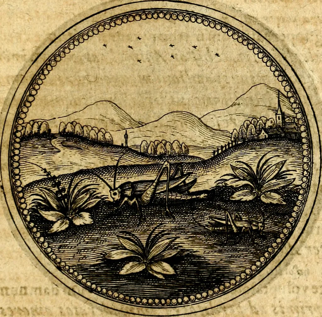 An illustration from Symbolorum et emblematum ... centuria una [-quatuor], 1654, leaf 402