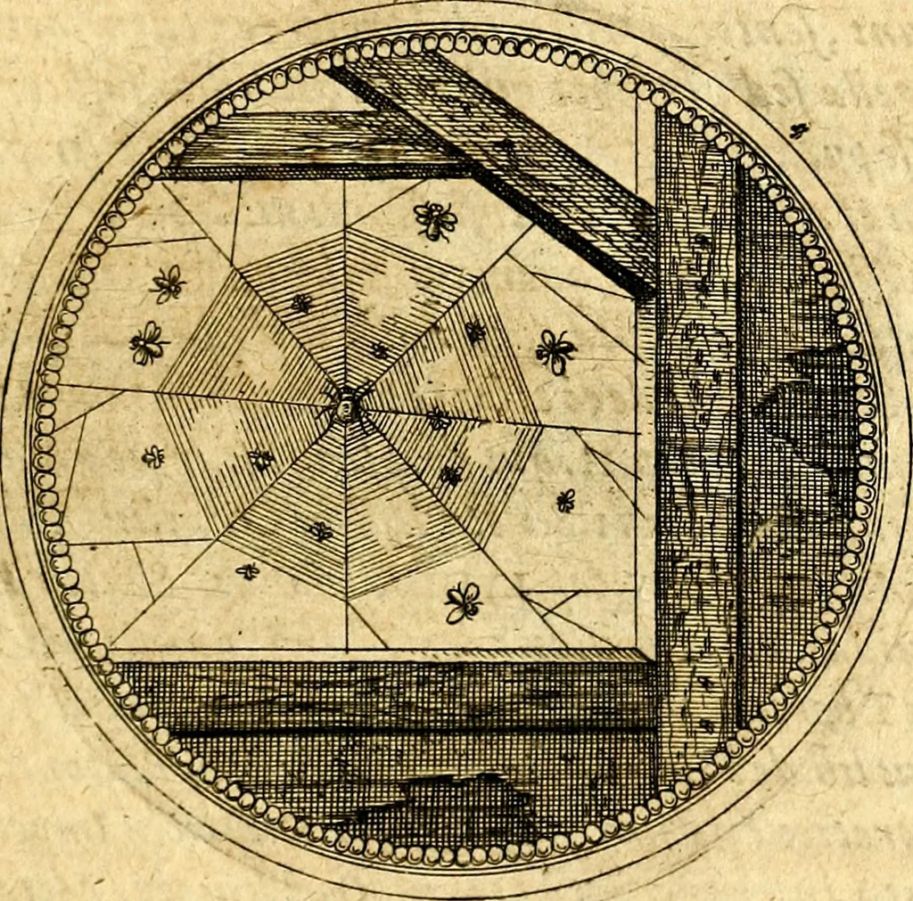 An illustration from Symbolorum et emblematum ... centuria una [-quatuor], 1654, leaf 408