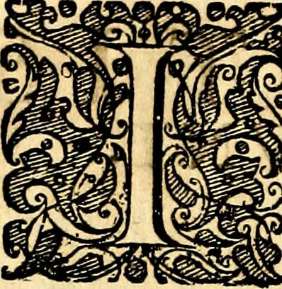An illustration from Symbolorum et emblematum ... centuria una [-quatuor], 1654, leaf 423