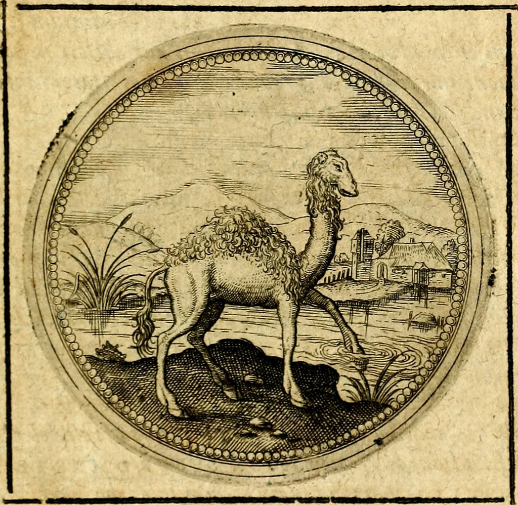 An illustration from Symbolorum et emblematum ... centuria una [-quatuor], 1654, leaf 448