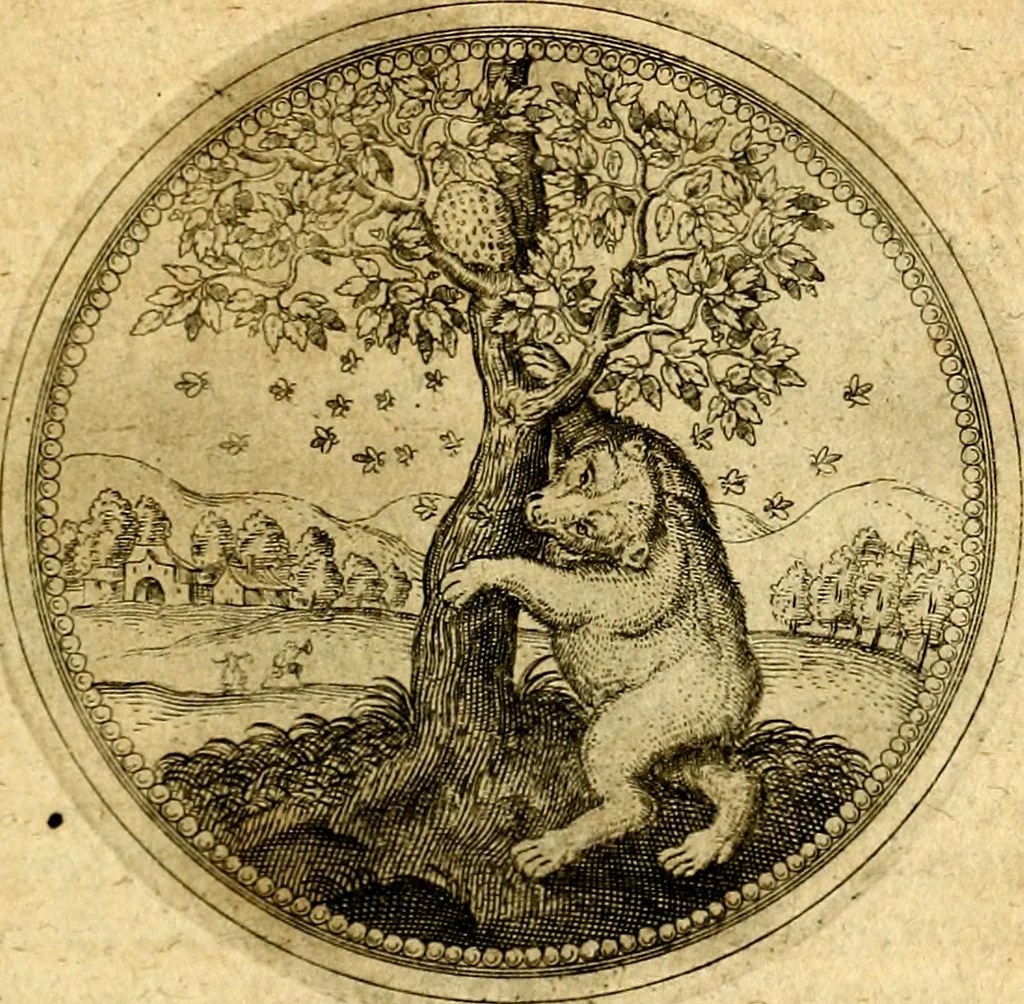 An illustration from Symbolorum et emblematum ... centuria una [-quatuor], 1654, leaf 464