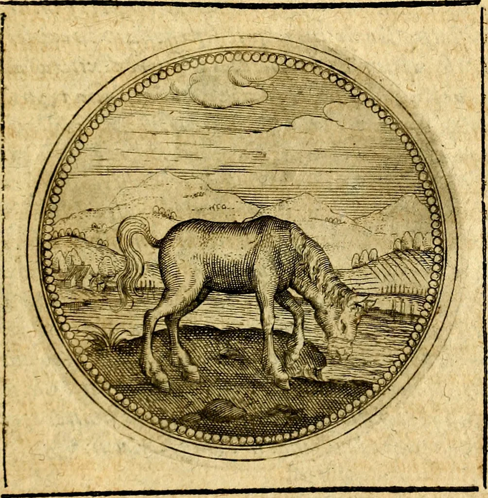 An illustration from Symbolorum et emblematum ... centuria una [-quatuor], 1654, leaf 478