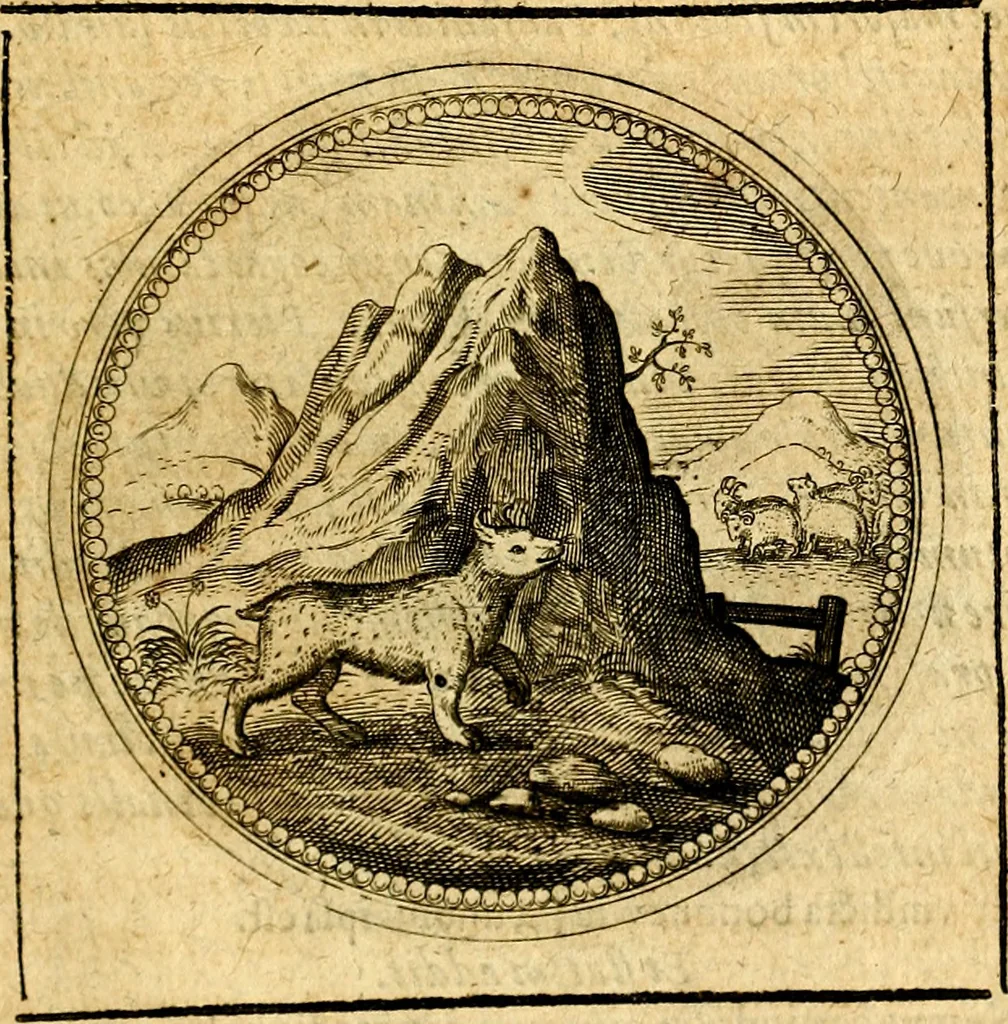 An illustration from Symbolorum et emblematum ... centuria una [-quatuor], 1654, leaf 486