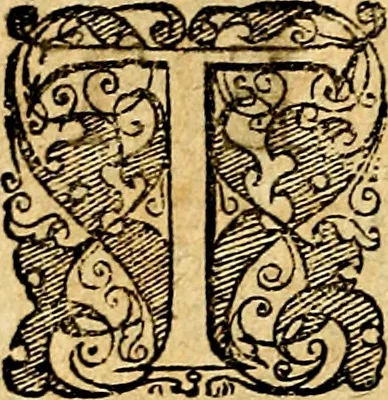 An illustration from Symbolorum et emblematum ... centuria una [-quatuor], 1654, leaf 487