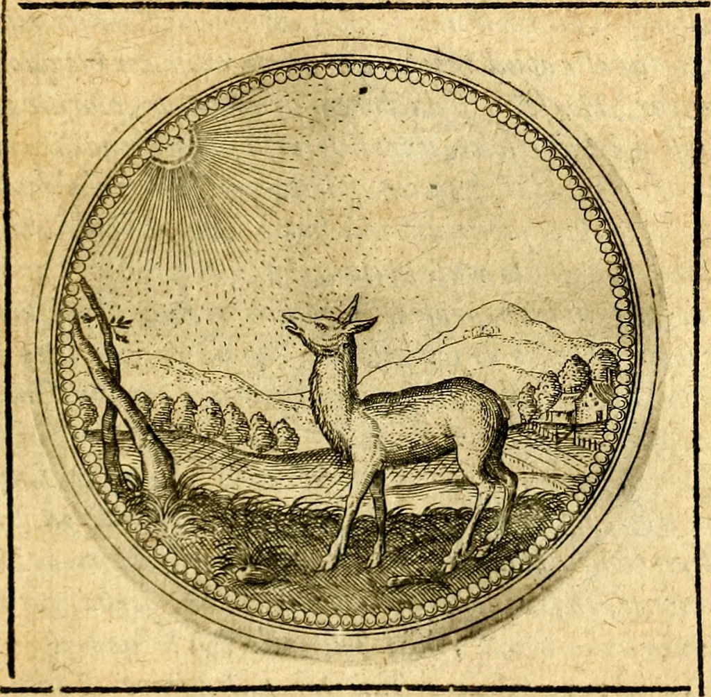 An illustration from Symbolorum et emblematum ... centuria una [-quatuor], 1654, leaf 504