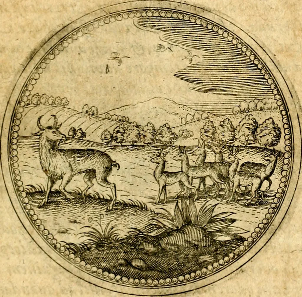 An illustration from Symbolorum et emblematum ... centuria una [-quatuor], 1654, leaf 506