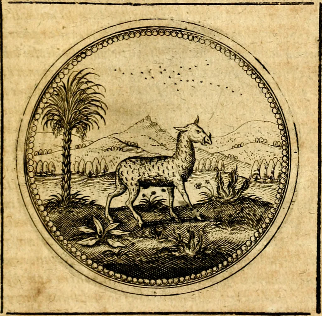 An illustration from Symbolorum et emblematum ... centuria una [-quatuor], 1654, leaf 508