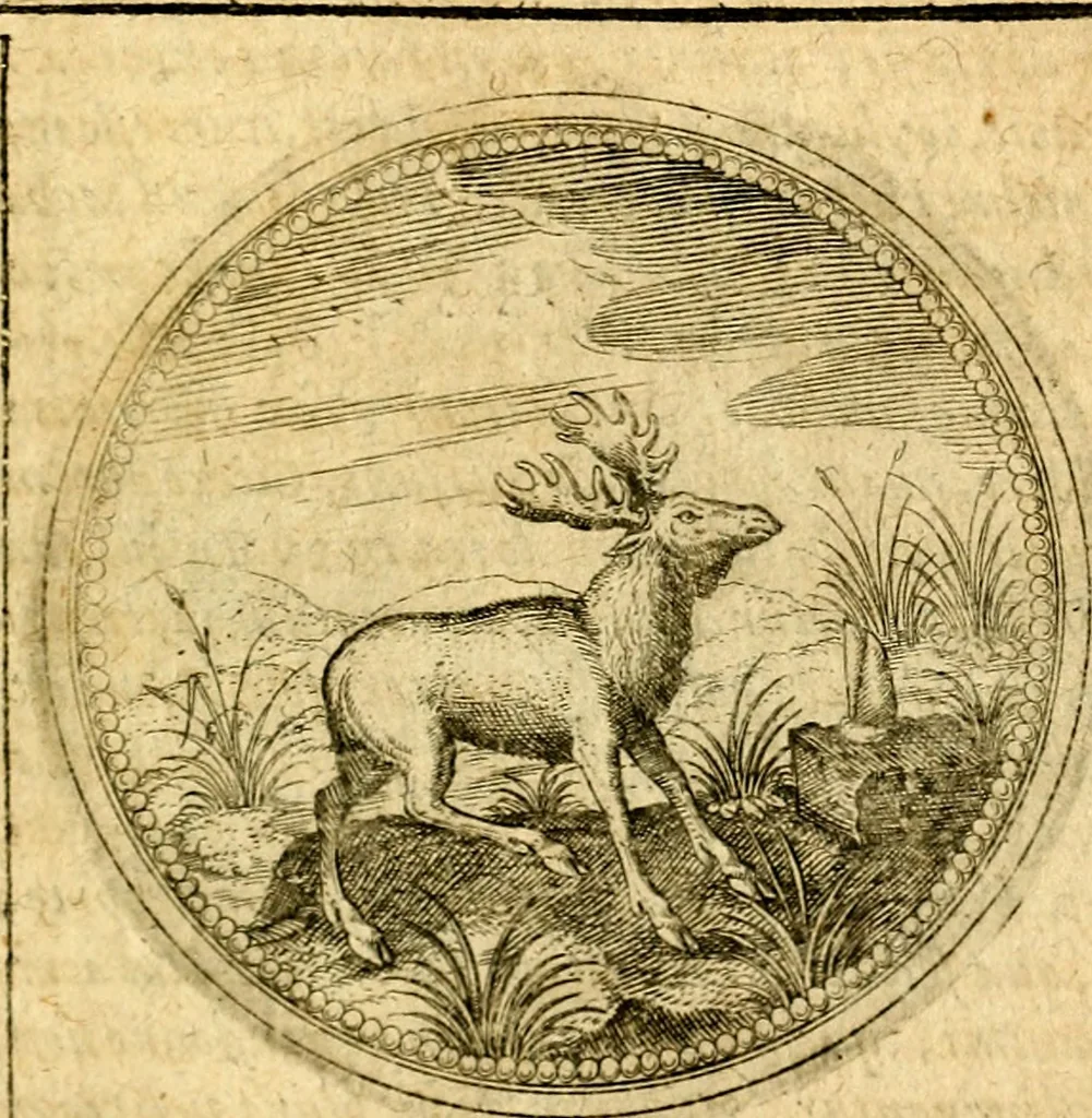 An illustration from Symbolorum et emblematum ... centuria una [-quatuor], 1654, leaf 510