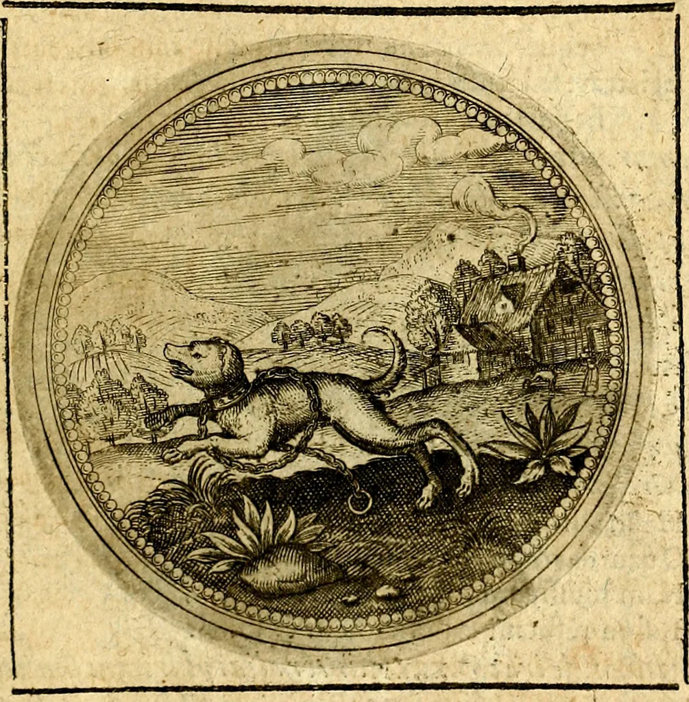 An illustration from Symbolorum et emblematum ... centuria una [-quatuor], 1654, leaf 538