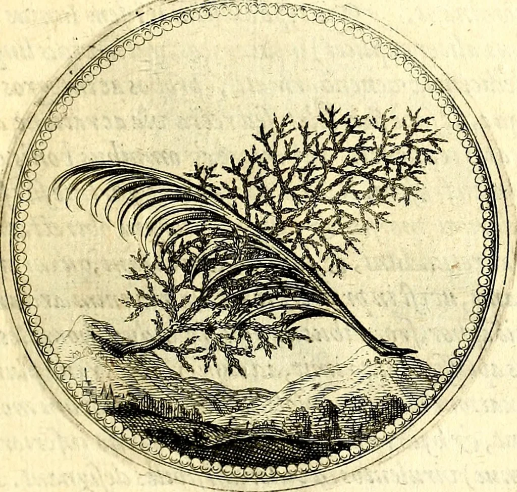 An illustration from Symbolorum et emblematum ... centuria una [-quatuor], 1654, leaf 54