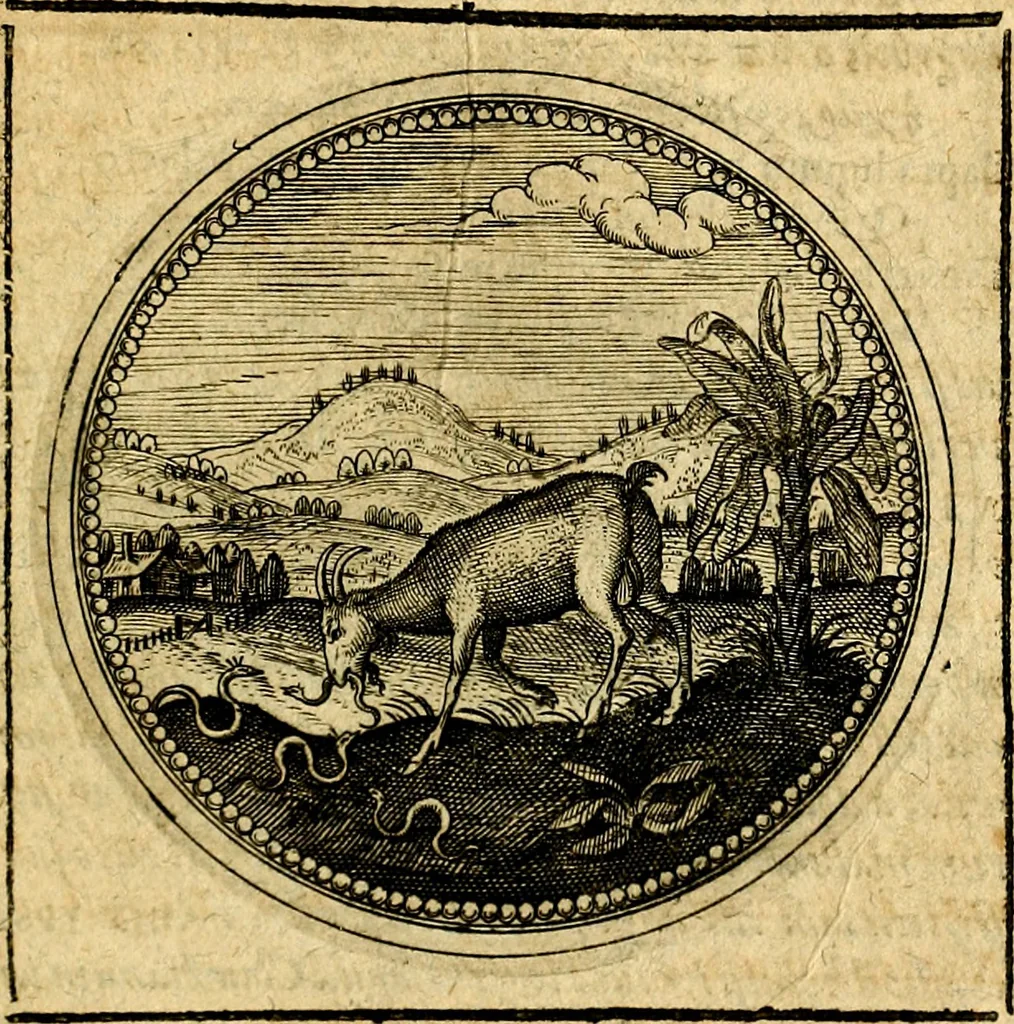 An illustration from Symbolorum et emblematum ... centuria una [-quatuor], 1654, leaf 546