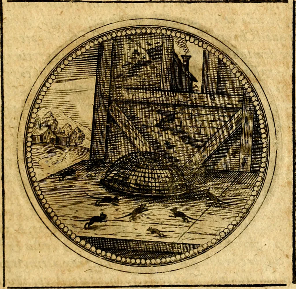 An illustration from Symbolorum et emblematum ... centuria una [-quatuor], 1654, leaf 596