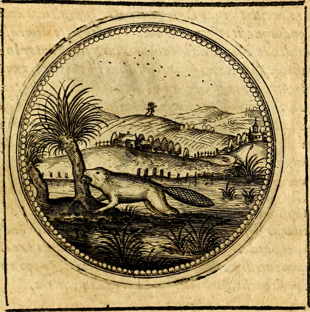 An illustration from Symbolorum et emblematum ... centuria una [-quatuor], 1654, leaf 610