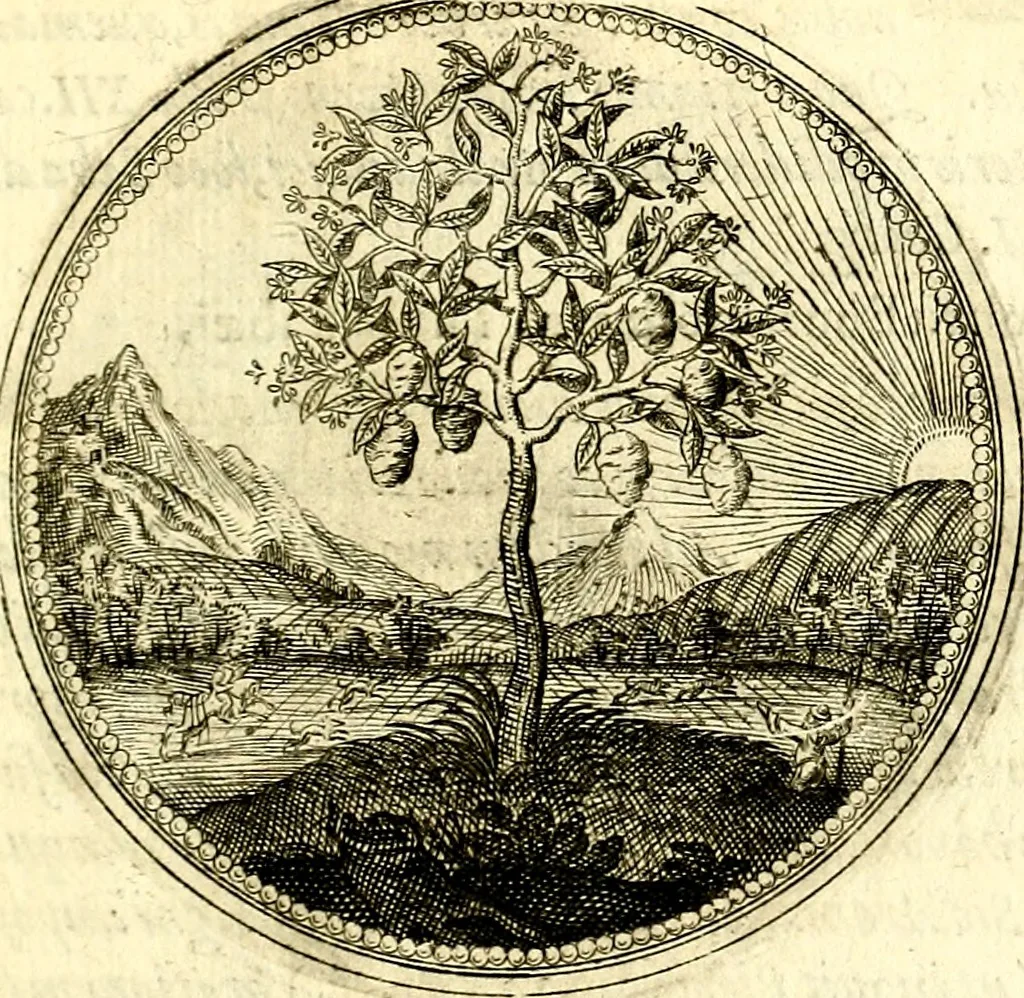 An illustration from Symbolorum et emblematum ... centuria una [-quatuor], 1654, leaf 66