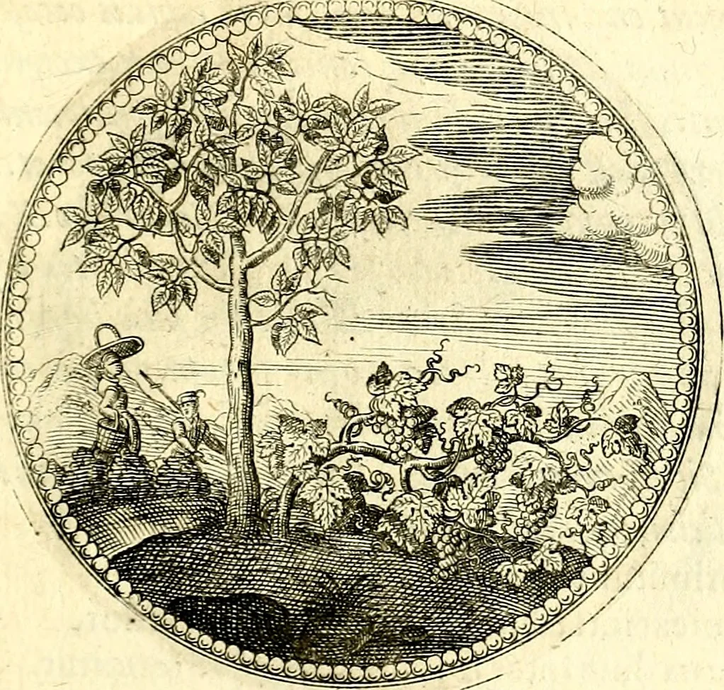An illustration from Symbolorum et emblematum ... centuria una [-quatuor], 1654, leaf 72
