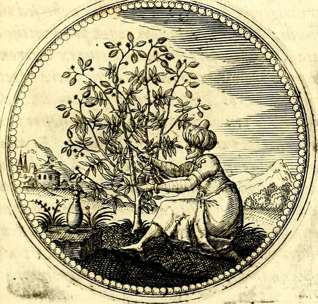 An illustration from Symbolorum et emblematum ... centuria una [-quatuor], 1654, leaf 80
