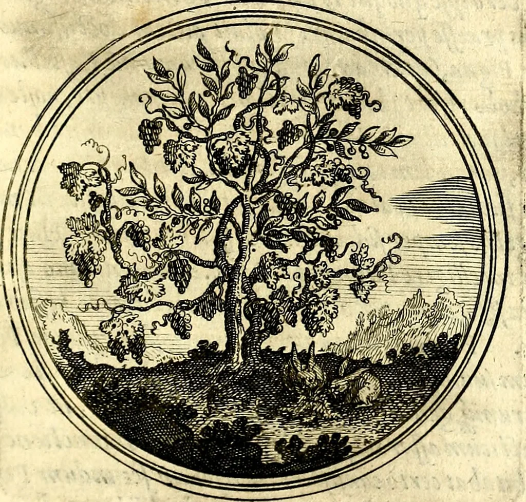 An illustration from Symbolorum et emblematum ... centuria una [-quatuor], 1654, leaf 82