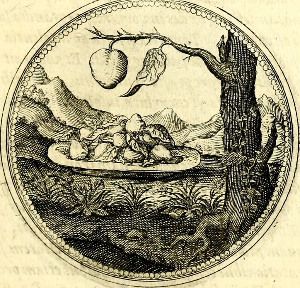 An illustration from Symbolorum et emblematum ... centuria una [-quatuor], 1654, leaf 96