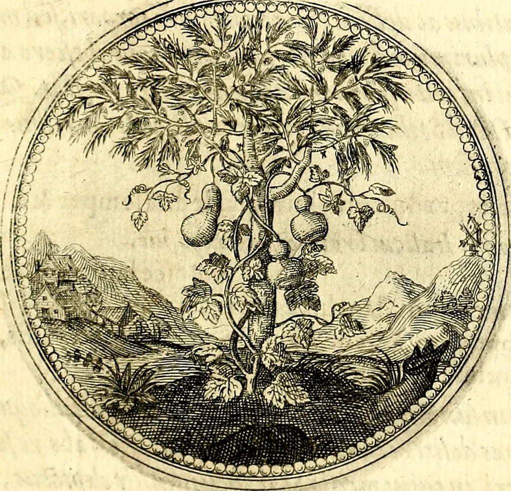 An illustration from Symbolorum et emblematum ... centuria una [-quatuor], 1654, leaf 98