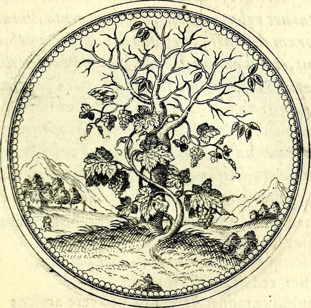 An illustration from Symbolorvm et emblematvm ex re herbaria desvmtorvm centvria vna, 1590, leaf 102