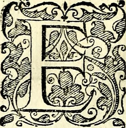 An illustration from Symbolorvm et emblematvm ex re herbaria desvmtorvm centvria vna, 1590, leaf 107