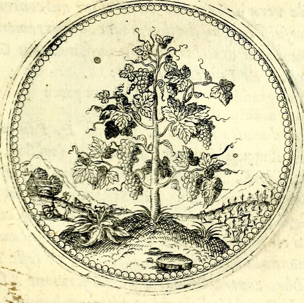 An illustration from Symbolorvm et emblematvm ex re herbaria desvmtorvm centvria vna, 1590, leaf 112