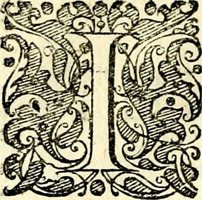 An illustration from Symbolorvm et emblematvm ex re herbaria desvmtorvm centvria vna, 1590, leaf 113