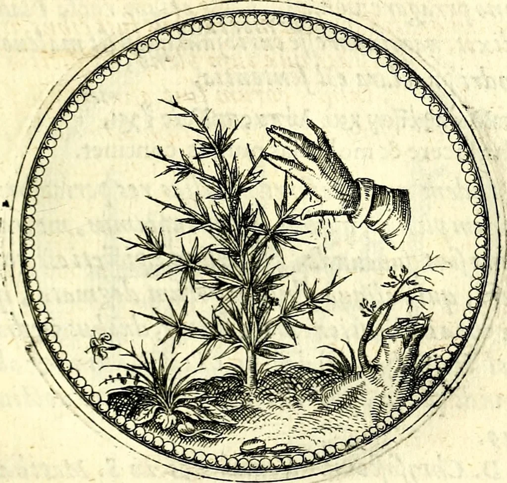 An illustration from Symbolorvm et emblematvm ex re herbaria desvmtorvm centvria vna, 1590, leaf 116
