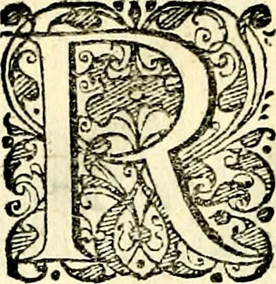 An illustration from Symbolorvm et emblematvm ex re herbaria desvmtorvm centvria vna, 1590, leaf 119