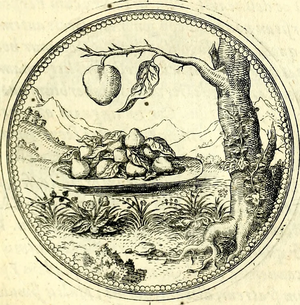 An illustration from Symbolorvm et emblematvm ex re herbaria desvmtorvm centvria vna, 1590, leaf 122