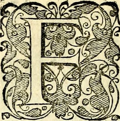 An illustration from Symbolorvm et emblematvm ex re herbaria desvmtorvm centvria vna, 1590, leaf 123