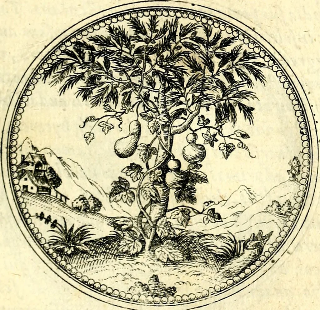 An illustration from Symbolorvm et emblematvm ex re herbaria desvmtorvm centvria vna, 1590, leaf 124