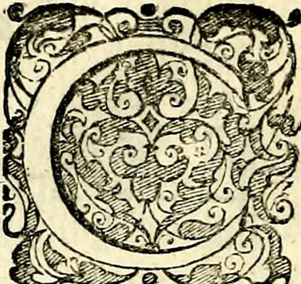 An illustration from Symbolorvm et emblematvm ex re herbaria desvmtorvm centvria vna, 1590, leaf 127